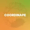 Coordinape
