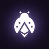 Etherspot
