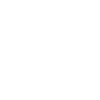 Mozaic