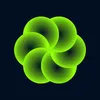 Wasabi
