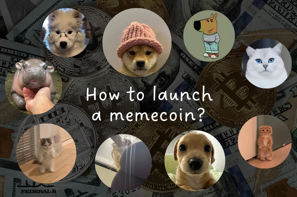 How to launch a memecoin: 5 steps