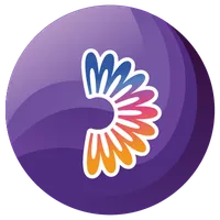 What is Dexible
