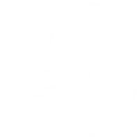 What is Mozaic