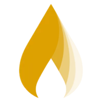 What is Sentry