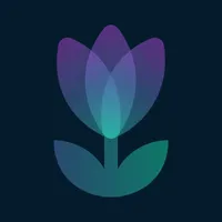 What is Tulip