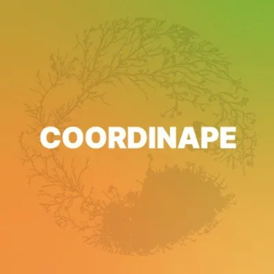 What is Coordinape