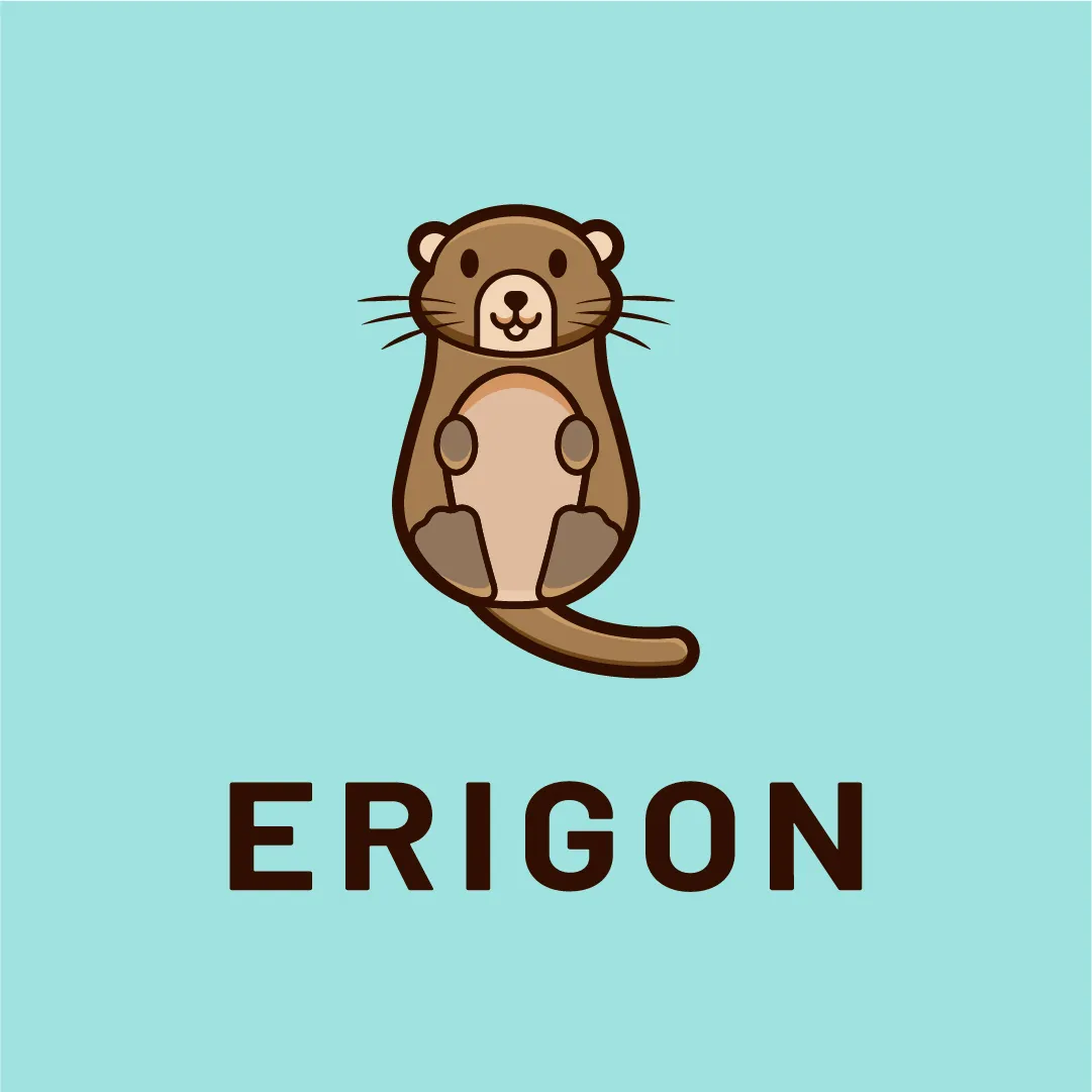 What is Erigon