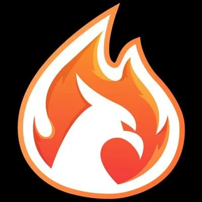 What is Firebird Finance