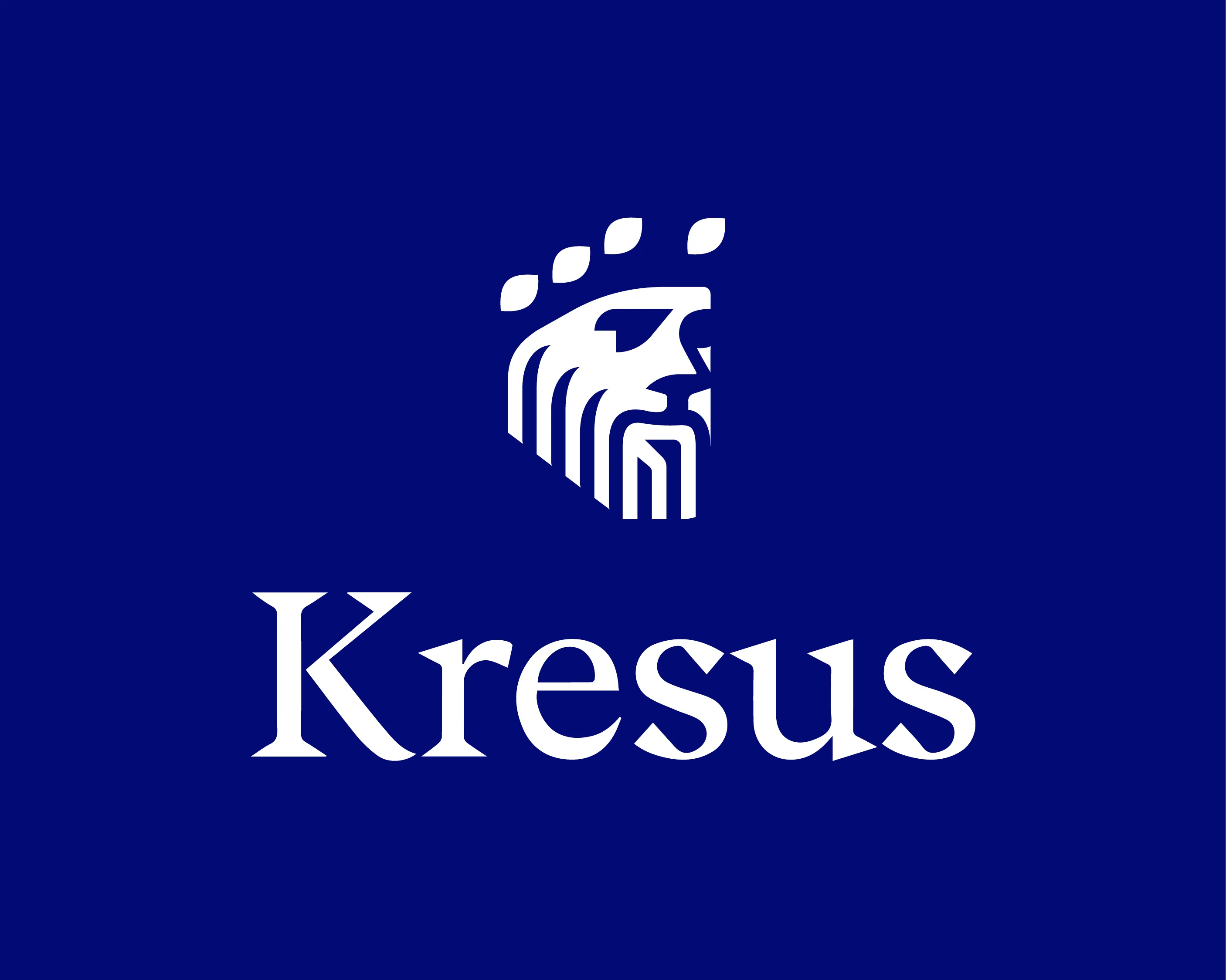 What is Kresus SuperApp