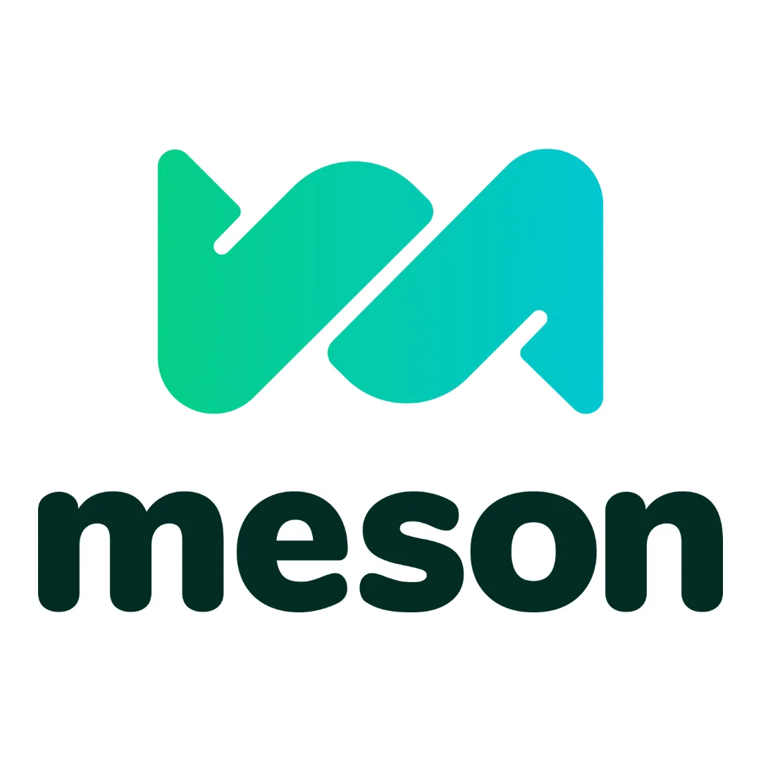 What is Meson